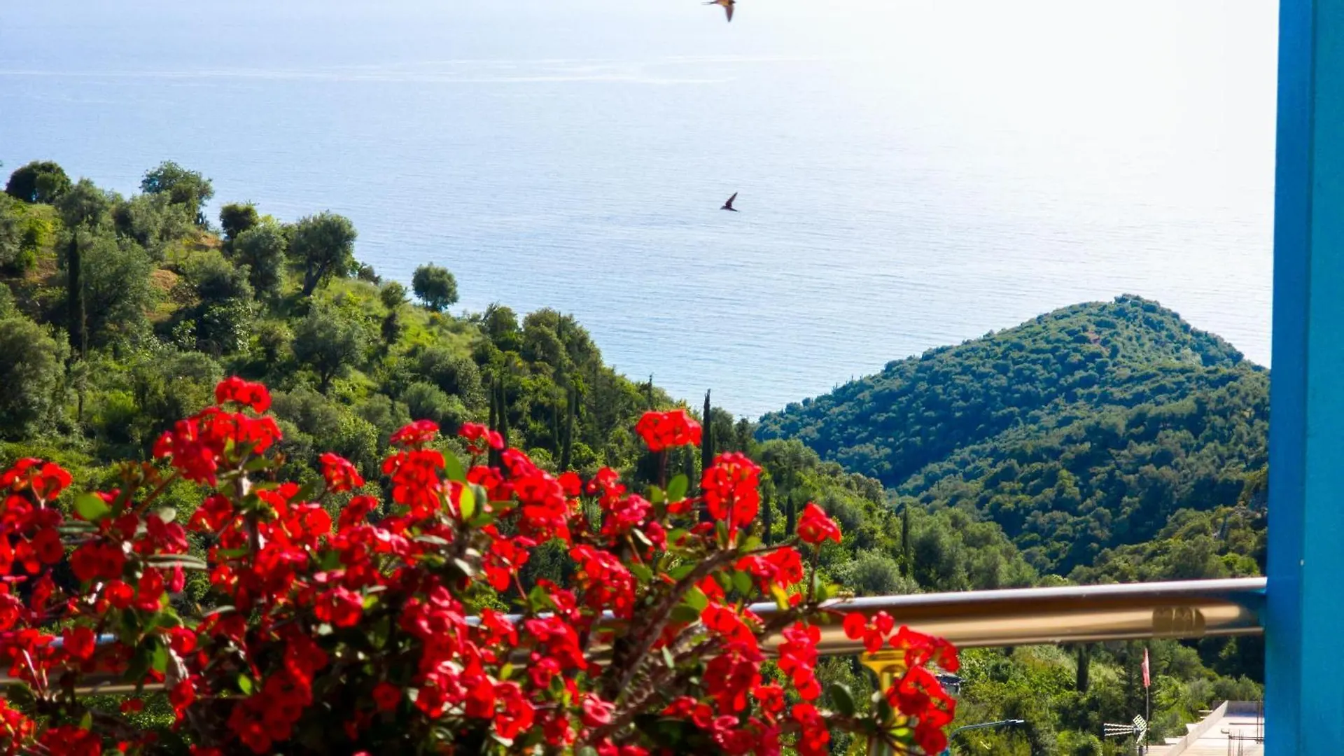 Selami Sea View Apartments Lukovë